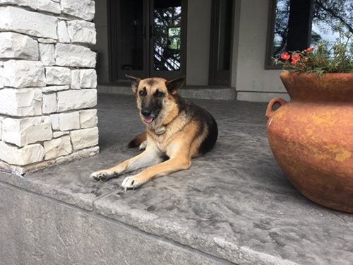 Patio In Uvalde Tx
Patios & Outdoor Living
SUNDEK San Antonio
