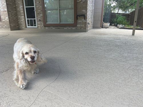 Patios & Outdoor Living
Patios & Outdoor Living
SUNDEK San Antonio
